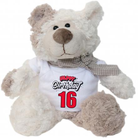16.Geburtstag Plüschbär