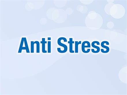 Anti Stress