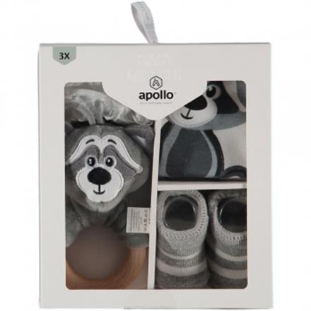 Baby Waschbär Geschenkbox