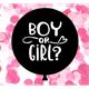 Babyshower Ballon (Girl)