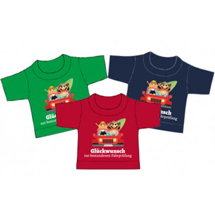 Bestandene Fahrprüfung Mini-T-Shirt (sortiert)