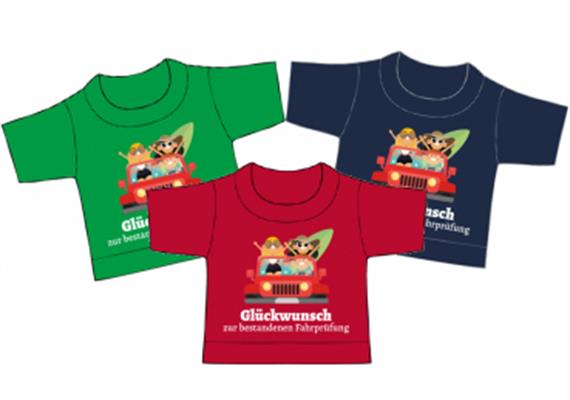 Bestandene Fahrprüfung Mini-T-Shirt (sortiert) | Bild 1