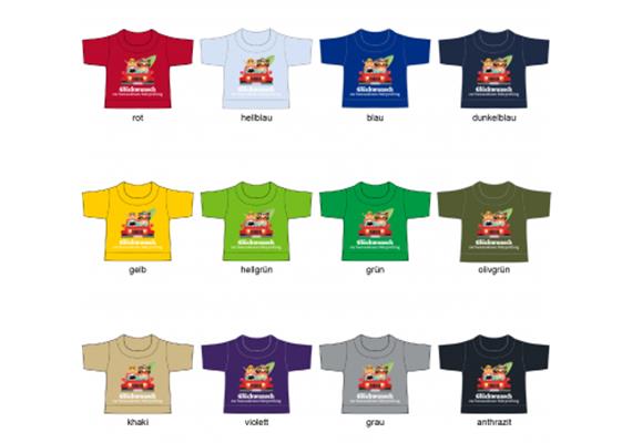 Bestandene Fahrprüfung Mini-T-Shirt | Bild 2