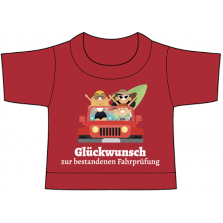 Bestandene Fahrprüfung Mini-T-Shirt