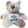 Bester Papa Plüschbär