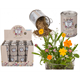Dosenblume Blumenwiese (ohne Display)