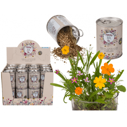 Dosenblume Blumenwiese (ohne Display)