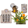 Dosenblume Blumenwiese (ohne Display)