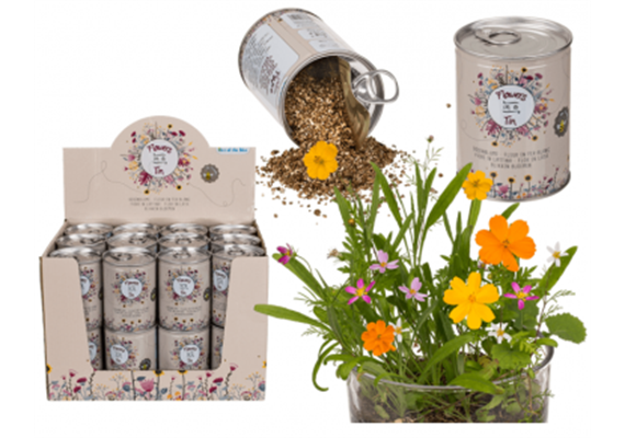 Dosenblume Blumenwiese (ohne Display)