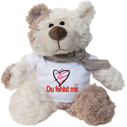 Du fehlst mir Plüschbär