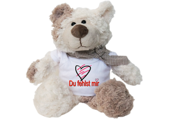 Du fehlst mir Plüschbär