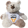 Du schaffst alles Plüschbär