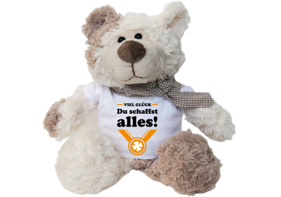 Du schaffst alles Plüschbär