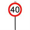 Gartenstecker Verkehrsschild 40