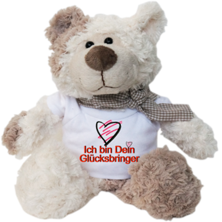 Glücksbringer Plüschbär