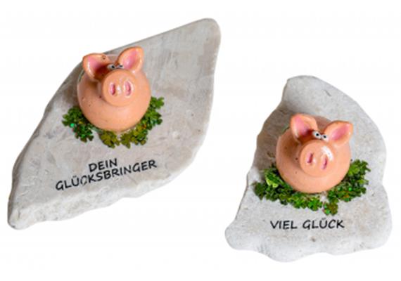 Glücksschwein auf Stein | Bild 1