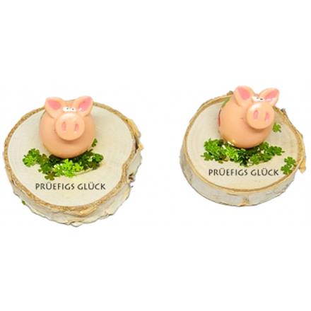 Glücksschwein Prüefigs Glück