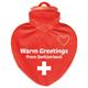 Greetings Switzerland Bettflasche
