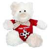 Hopp Schwiiz Plüschbär