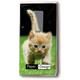 Katzen Wiese Taschentücher