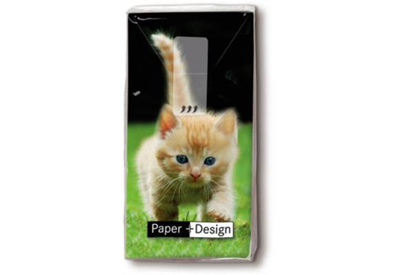 Katzen Wiese Taschentücher