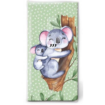 Koala Taschentücher
