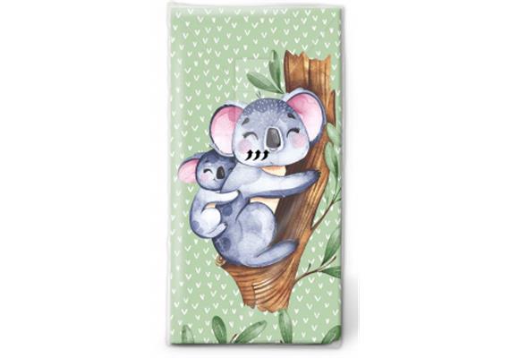 Koala Taschentücher