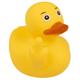 Mittelfinger Badeente