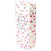 Party Time Geschenksack (Flasche)