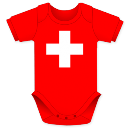 Schweizer Body