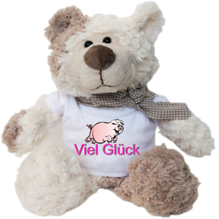 Viel Glück Schwein Plüschbär