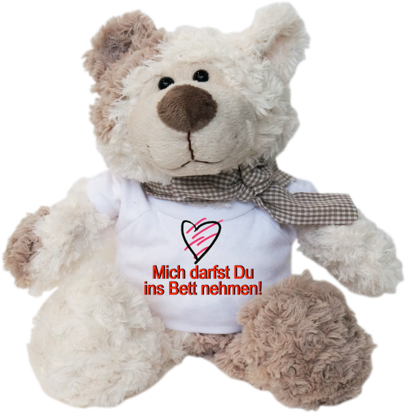 Mich darfst Du mit ins Bett nehmen. Felix ist der Bestseller. Der kuschelige Plüschbär ist richtig weich. Ein tolles Geschenk für jeden Anlass. Alle Teddybären tragen eine Schleife um den Hals. Dazu ein weisse Mini T-Shirt mit einem lu