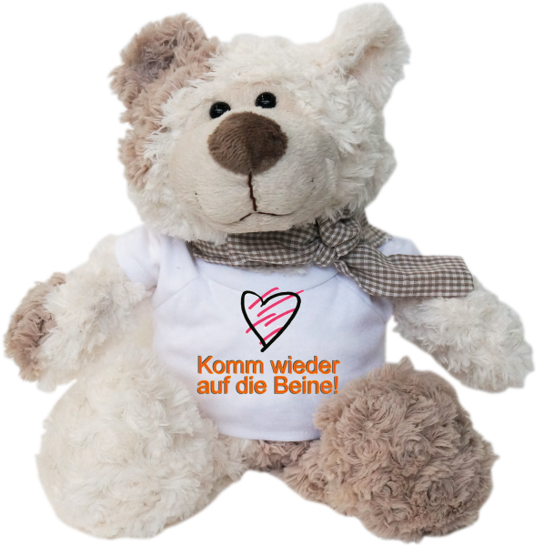 Komm wieder auf die Beine. Felix ist der Bestseller. Der kuschelige Plüschbär ist richtig weich. Ein tolles Geschenk für jeden Anlass. Alle Teddybären tragen eine Schleife um den Hals. Dazu ein weisse Mini T-Shirt mit einem lustigen Sp