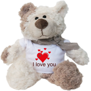 I love you. Felix ist der Bestseller. Der kuschelige Plüschbär ist richtig weich. Ein tolles Geschenk für jeden Anlass. Alle Teddybären tragen eine Schleife um den Hals. Dazu ein weisse Mini T-Shirt mit einem lustigen Spruch. Das Mini-