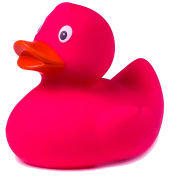 Pinke Badeente pink. Die lustigen farbigen Badeenten. Nie mehr alleine baden und schwimmen. Mit dieser Quietscheente haben Sie in der Badewanne immer Gesellschaft. Schwimmt im Wasser. Die Gummiente ist ein tolles Geschenk für Erwachsene und Kinder. Auch a